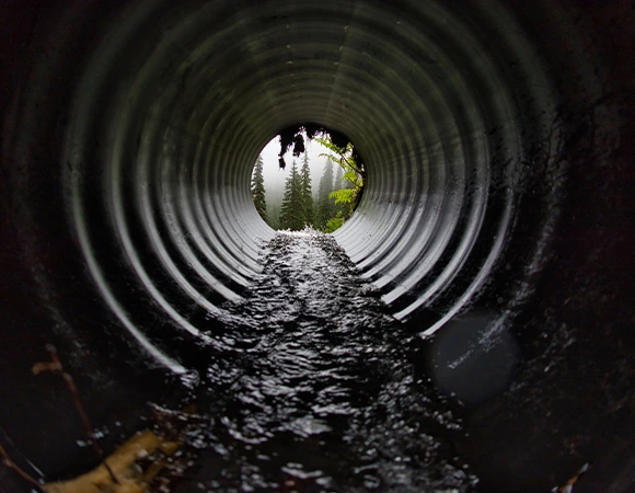 Why Choose Us for Sewer & Drain Cleaning